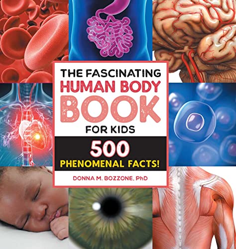 Beispielbild fr The Fascinating Human Body Book for Kids zum Verkauf von Blackwell's