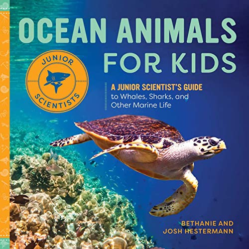Beispielbild fr Ocean Animals for Kids zum Verkauf von Blackwell's