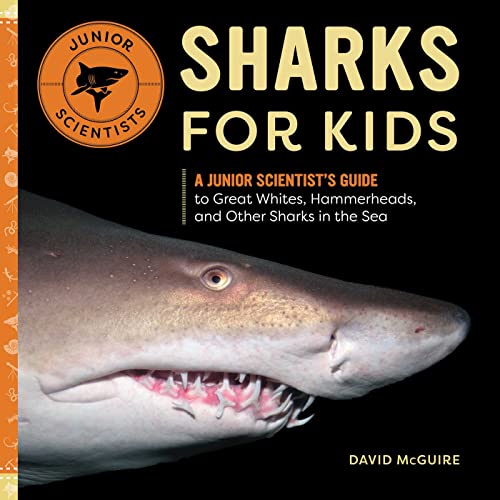 Beispielbild fr Sharks for Kids A Junior Scientists Guide to Great Whites, Hammerheads, and Other Sharks in the Sea zum Verkauf von Lakeside Books