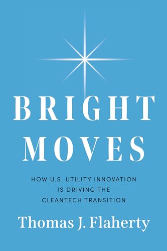Stock image for Bright Moves: How U.S. Utility Innovation Is Driving the Cleantech Transition for sale by HPB-Ruby