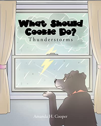 Stock image for What Should Cookie Do?: Thunderstorms for sale by GreatBookPrices