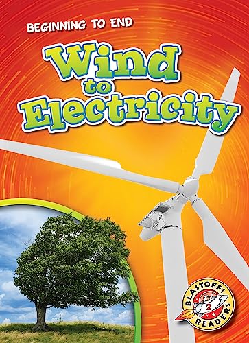 Beispielbild fr Wind to Electricity zum Verkauf von Blackwell's