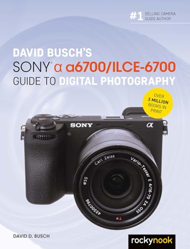 Stock image for David Buschs Sony Alpha a6700/ILCE-6700 Guide to Digital Photography (Paperback) for sale by CitiRetail