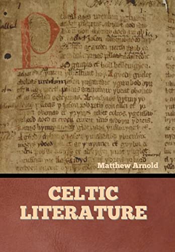 9798888302521: Celtic Literature