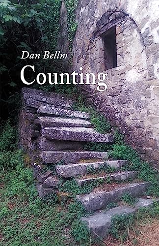 Stock image for Counting for sale by GreatBookPrices