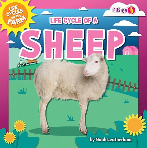 Stock image for Life Cycle of a Sheep for sale by GreatBookPrices