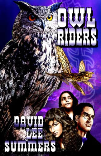 9798985112030: Owl Riders: 4