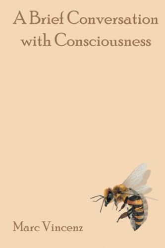 Imagen de archivo de A Brief Conversation With Consciousness a la venta por GreatBookPrices