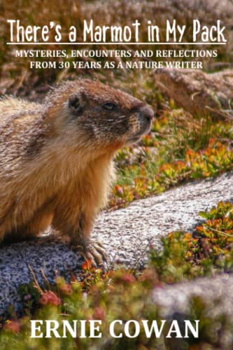 Beispielbild fr There's a Marmot in My Pack: Mysteries, Encounters and Reflections from 30 years as a Nature Writer zum Verkauf von Elizabeth Brown Books & Collectibles