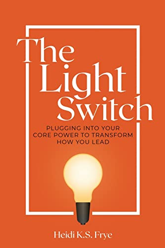 Imagen de archivo de The Light Switch: Plugging into your core power to transform how you lead a la venta por gwdetroit