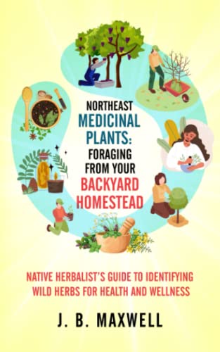 Imagen de archivo de Northeast Medicinal Plants: Foraging From Your Backyard Homestead: Native Herbalist's Guide to Identifying Wild Herbs for Health and Wellness a la venta por GreatBookPrices