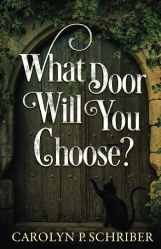 Imagen de archivo de Which Door Will You Choose? a la venta por PBShop.store US