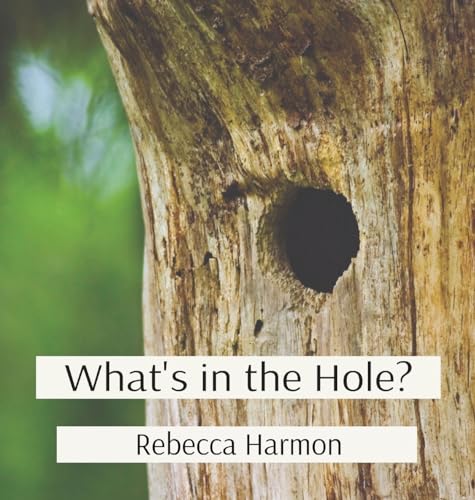 Imagen de archivo de What's in the Hole? a la venta por Ria Christie Collections