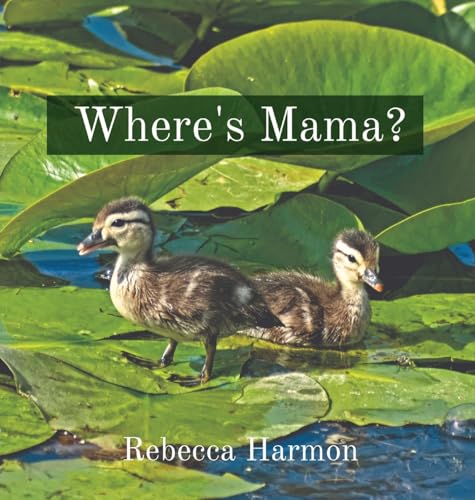 Imagen de archivo de Where's Mama? a la venta por GreatBookPrices