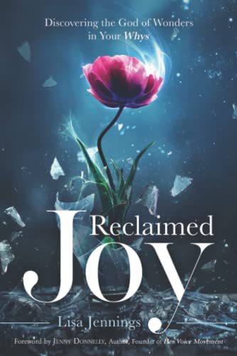 9798985683004: Reclaimed Joy: Discovering the God of Wonders in Your Whys