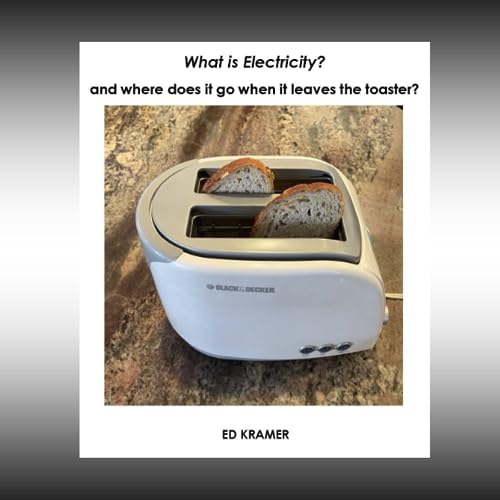 Stock image for What Is Electricity? And Where Does It Go When It Leaves The Toaster? for sale by GreatBookPrices