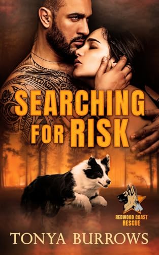 Stock image for Searching for Risk for sale by GreatBookPrices