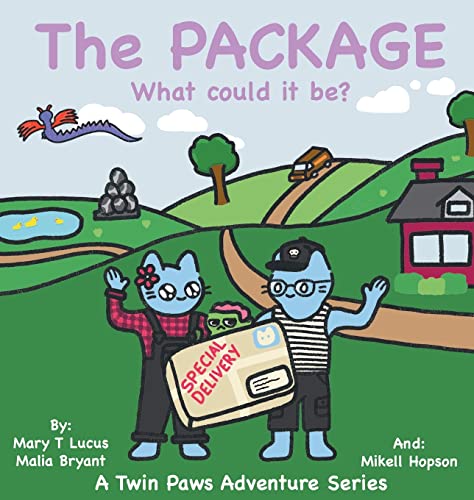 Stock image for The Package: What could it be? for sale by GreatBookPrices