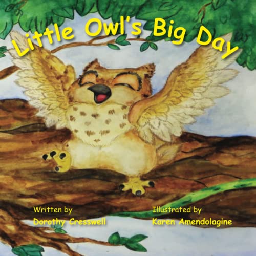 Stock image for Little Owl's Big Day for sale by GreatBookPrices
