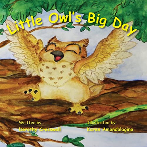 Stock image for Little Owl's Big Day for sale by GreatBookPrices