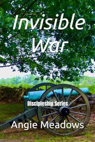 Stock image for Invisible War for sale by PBShop.store US