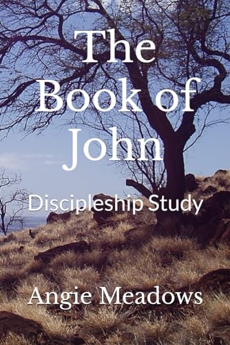 Stock image for The Book of John: Discipleship Study for sale by California Books