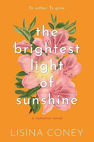Stock image for Brightest Light of Sunshine (Paperback) for sale by Grand Eagle Retail
