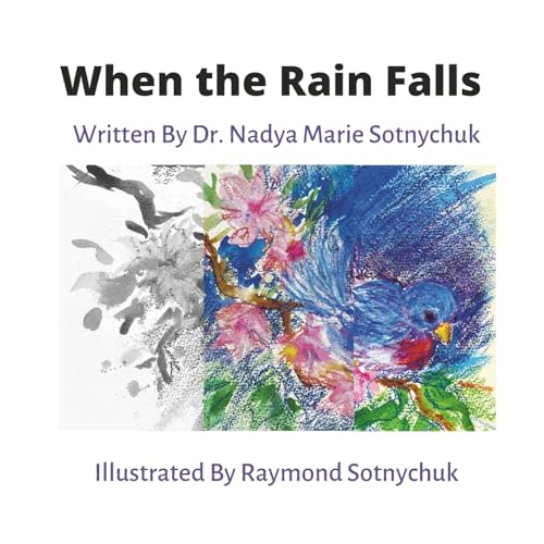 Stock image for When The Rain Falls for sale by GreatBookPrices