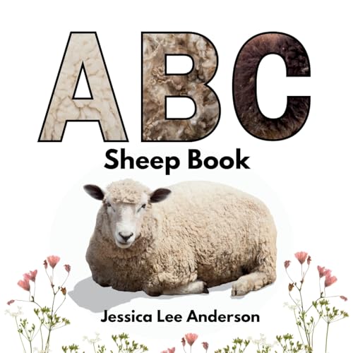 Stock image for ABC Sheep Book (Paperback) for sale by Grand Eagle Retail