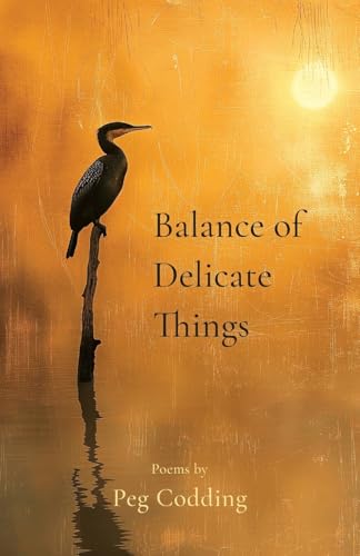 9798991730600: Balance of Delicate Things