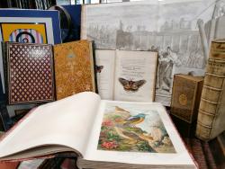 Librairie Laurencier