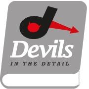 Devils in the Detail Ltd