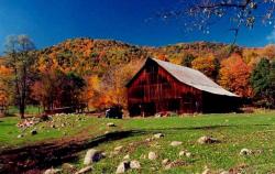 Bug's Book Barn