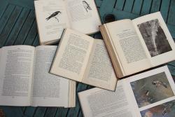Fieldfare Bird and Natural History Books