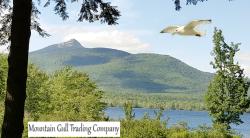 Mountain Gull Trading Company