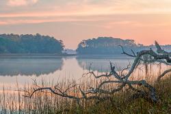 Skidaway River Books