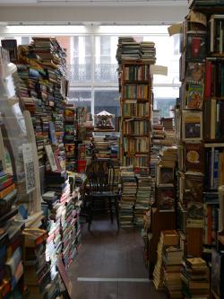 Camilla's Bookshop