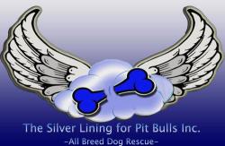 The Silver Lining for Pit Bulls